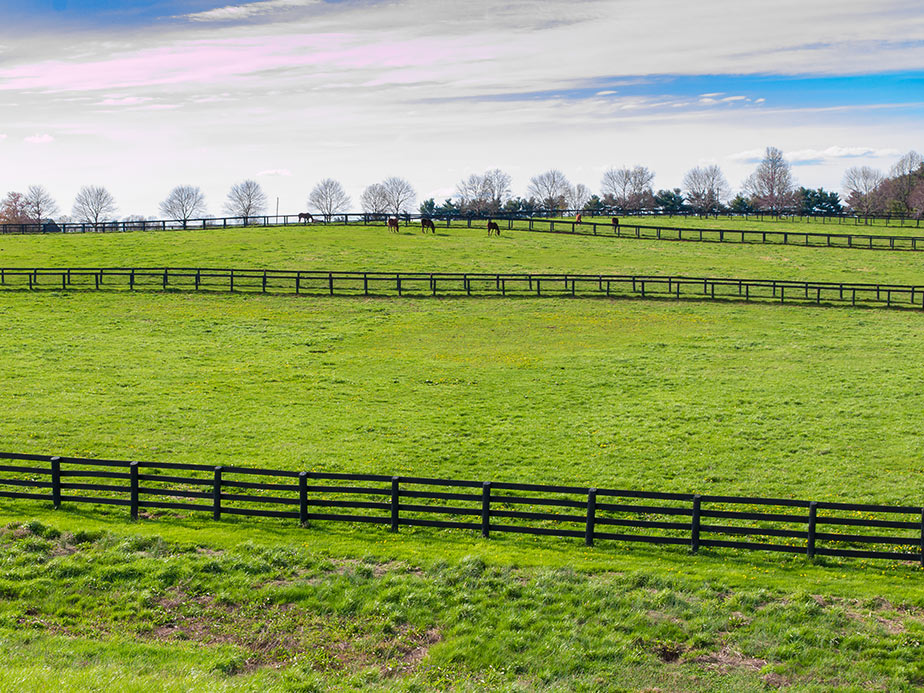Farm animal fencing in Dallas Texas