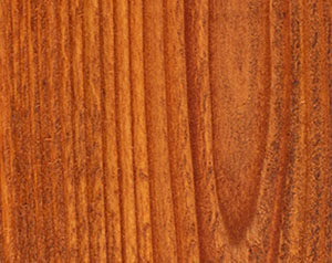 Fence Stain Contractor in Fort Worth, TX