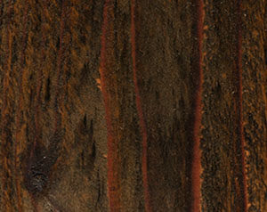 Fence Stain Contractor in Fort Worth, TX