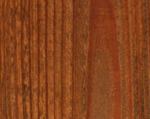 Fence Stain Contractor in Fort Worth, TX