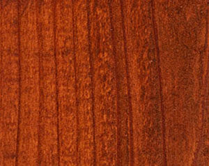 Fence Stain Contractor in Fort Worth, TX